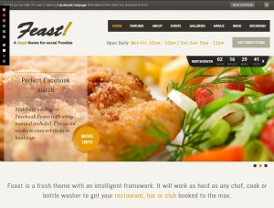 feast wordpress thema