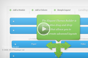 Elegant Themes Drag & Drop Builder plugin