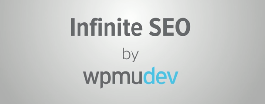 Infinite SEO Plugin