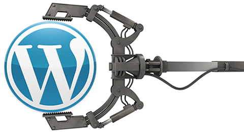 WordPress development wordpress plugins