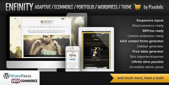 Enfinity - Adaptive Ecommerce Portfolio WP theme