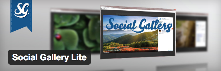 Social Gallery Lite plugin