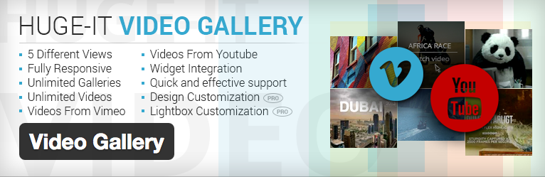 Video Gallery plugin