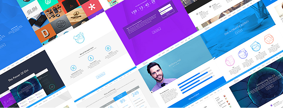 Divi 2.0 wordpress thema