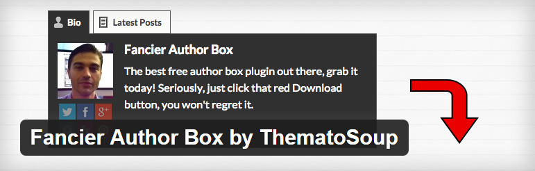 Fancier Author Box voor WordPress