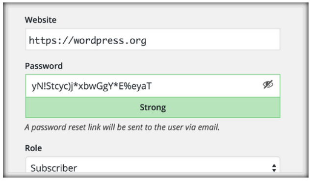 Wachtwoord beveiliging wordpress 4.3