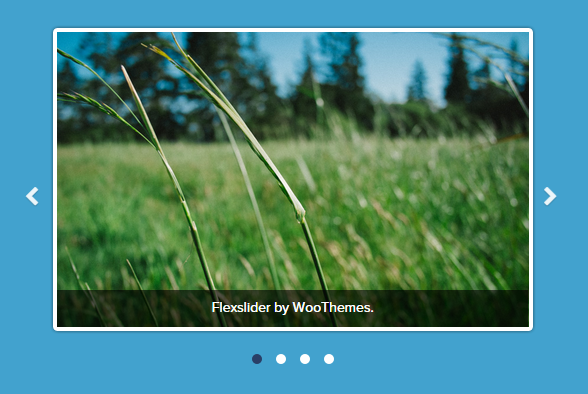 flexslider voor wordpress websites