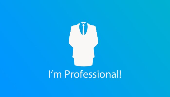 wordpress professional