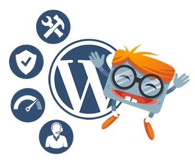 WordPress website update pakket van WP Handleiding