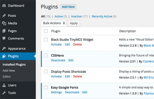 wordpress plugin verwijderen