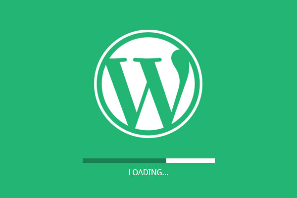 snelle wordpress website