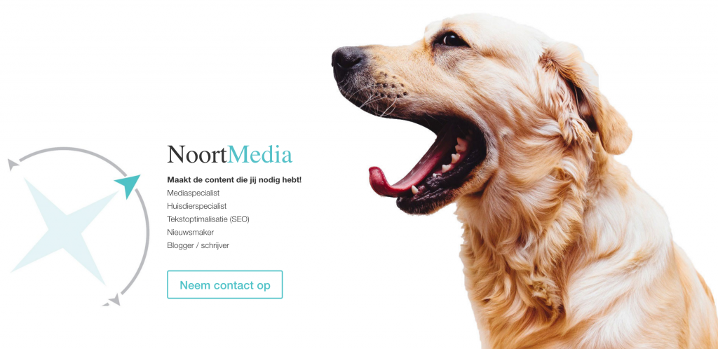 WordPress website