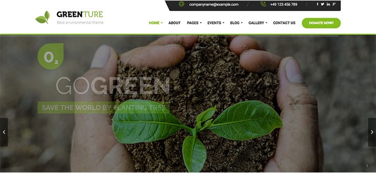 groene wordpress thema's