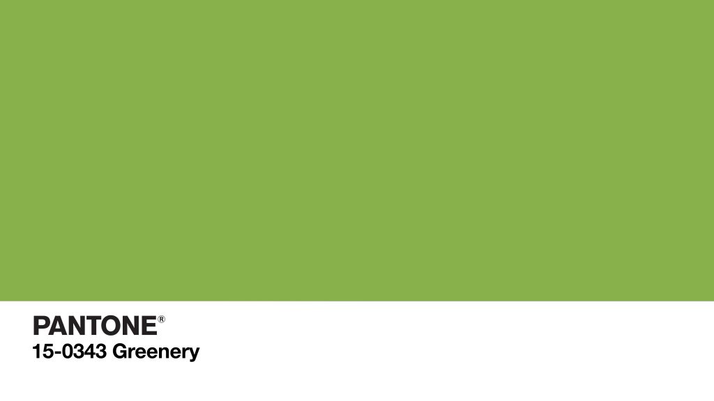 groene wordpress thema's