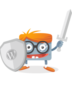 WordPress beveiligen