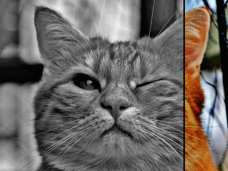 before-after plugins