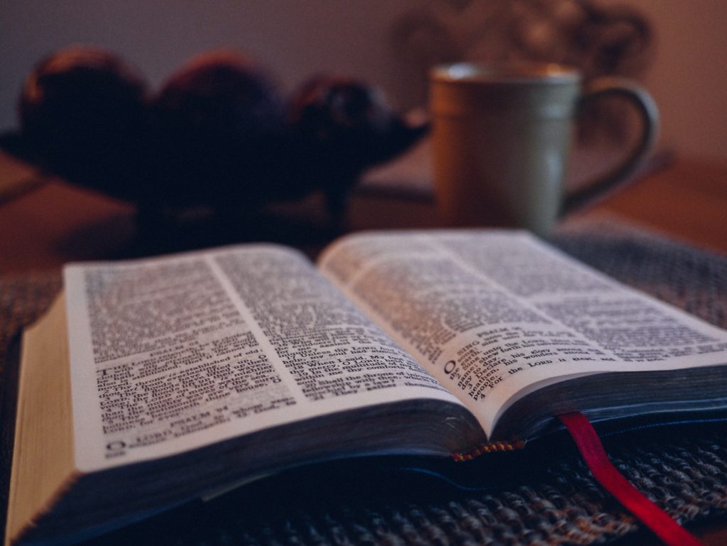 wp glossary