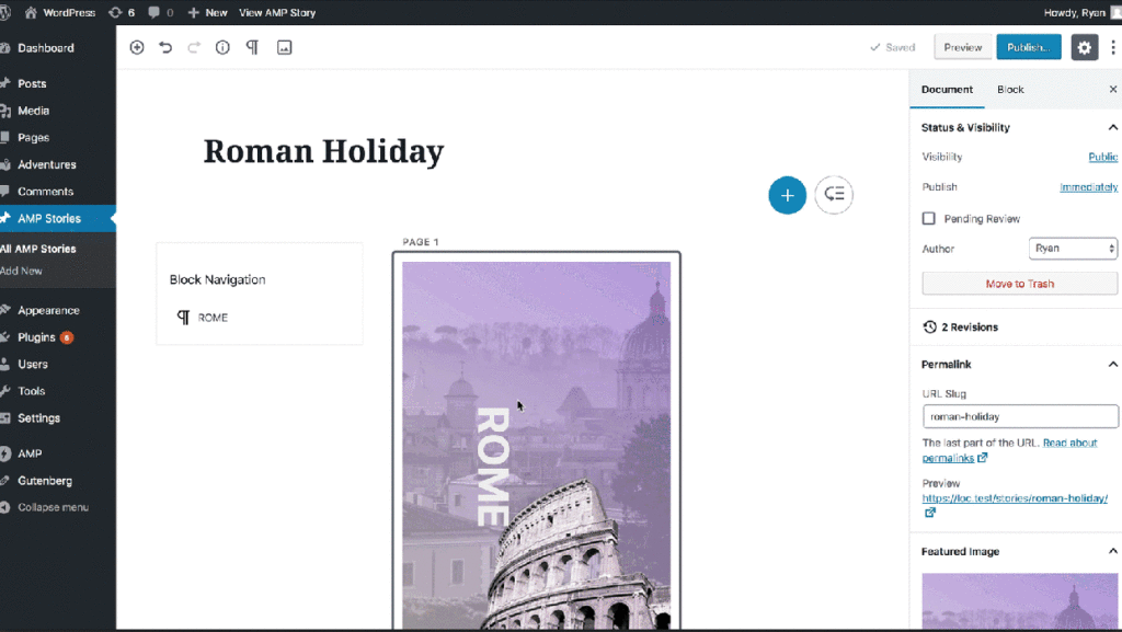 Versie 1.1 van de AMP plugin