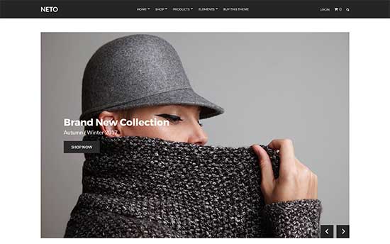 Woocommerce themes neto