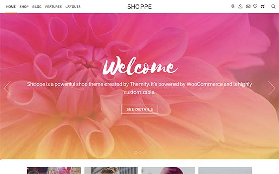 Shoppe template