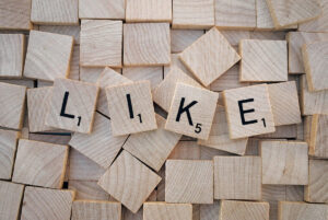 Social media plugin wordress
