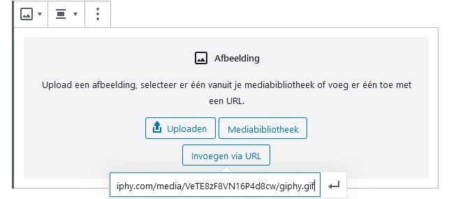 Giphy gif wordpress toevoegen zonder plugin