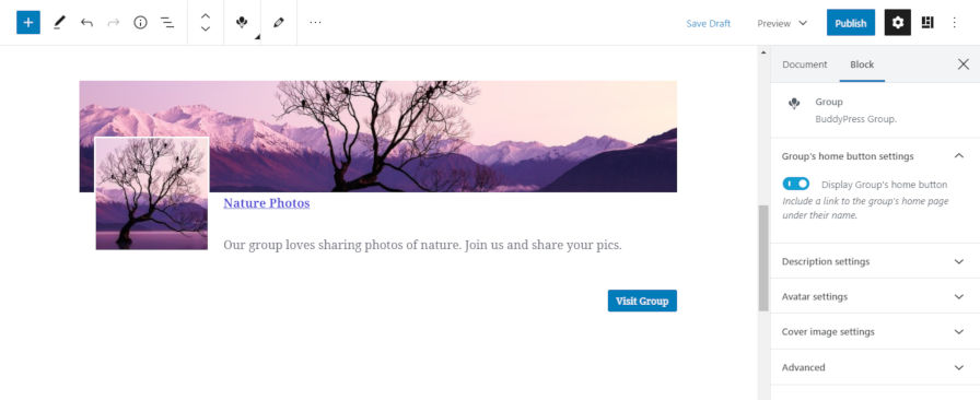 buddypress 6.0