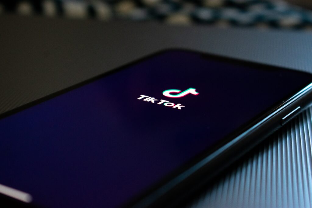 TikTok plugins voor WordPress