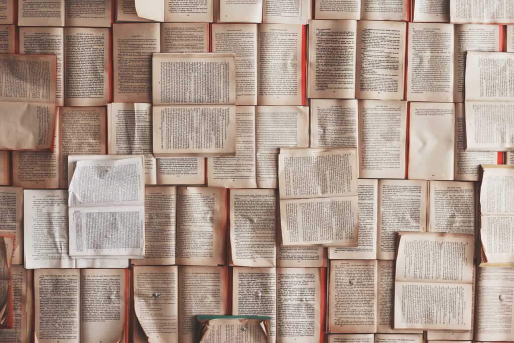 Google Web Stories in WordPress