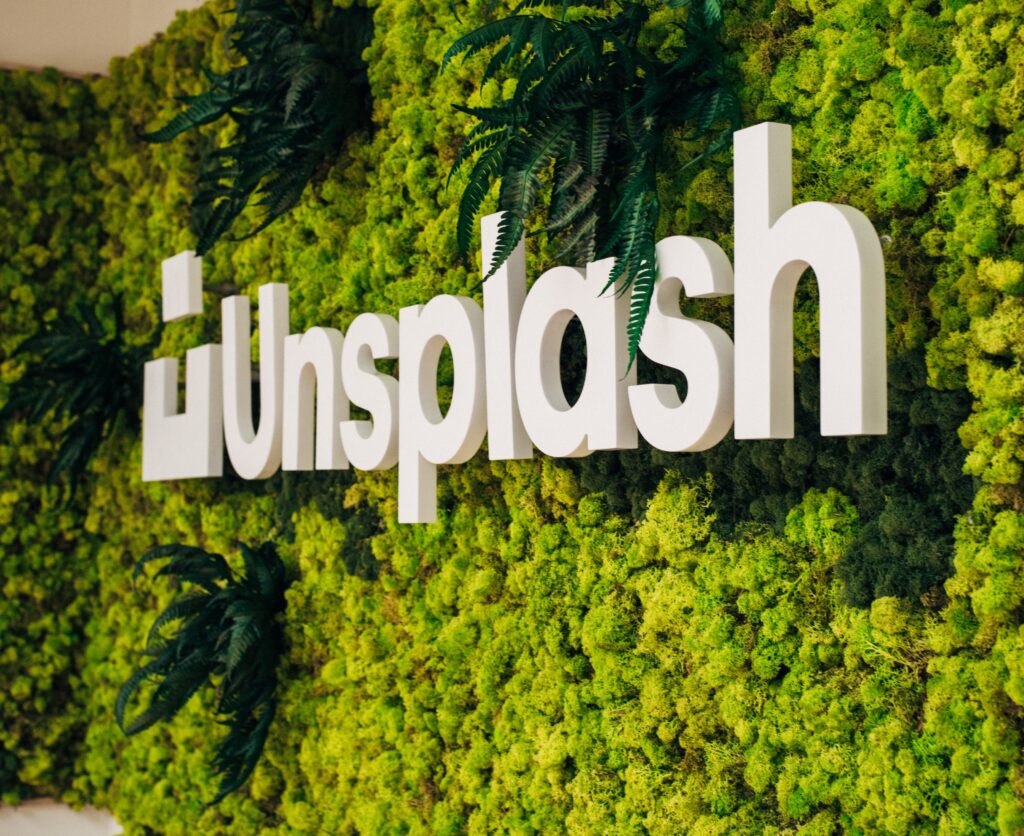 unsplash plugin