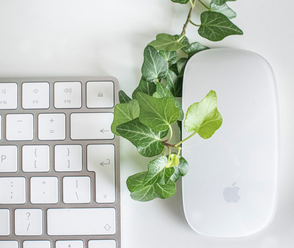 Hoe groen is jouw WordPress site